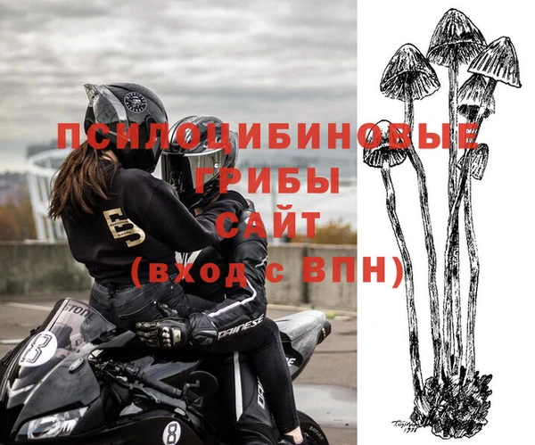 МДМА Алексеевка